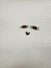 3853811 - 984062 Omc Prestolite Stringer Cobra Distributor Spring Set