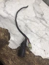 91 Omc 5.0 Cobra Stern Drive Engine Wire Wiring Harness Connector Plug Adapter. Fixed Price $52.25.