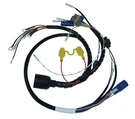 Cdi Harness For Johnson / Evinrude 150 175 Hp 60 Degree 1995. Fixed Price $357.99.