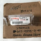 New Oem Yamaha Screw, Manual Release 6H1-43845-01-00. Fixed Price $49.95.