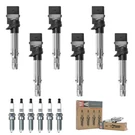 6 Ignition Coil + Champion Iridium Spark Plug For Volkswagen Passat UF531. Fixed Price $149.56.