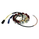 Stator Omc Johnson Evinrude 185 225 250 300HP Outboard 1993-2001 584643 35A. Fixed Price $268.52.