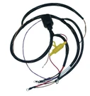 Cdi Harness For Johnson / Evinrude 150 250 Hp Cross Flow 79-84. Fixed Price $359.57.