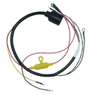 Cdi Harness: Johnson / Evinrude 55 Hp Looper 1978, 413-9913, 0581973. Fixed Price $349.97.
