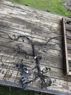 Mercruiser 350 Mag Mpi Bravo Engine Wire Harness. Fixed Price $650.00.