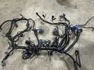 Mercruiser 6.2 300 350 Engine Wiring Harness Assembly 8M0104924 Dtm Ec Non Dts. Fixed Price $440.00.