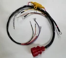 1978 Evinrude Johnson Red Plug Engine Harness Replaces Oem 0581975 /. Fixed Price $129.00.